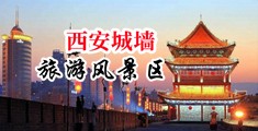 大鸡巴网页中国陕西-西安城墙旅游风景区