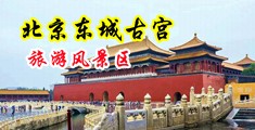 性插美女网站中国北京-东城古宫旅游风景区